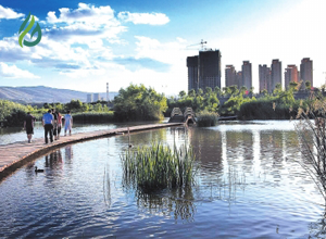 ú�Ě��(xi��ng)Ŀ�⻯վ